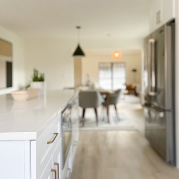 Soothing Suburbia | Centennial, CO | Scandinavian Full Home Renovation