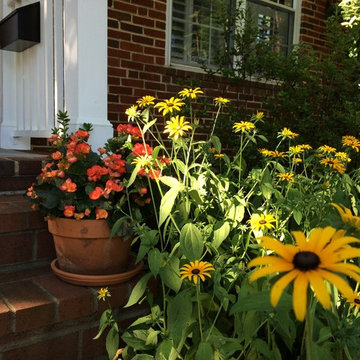 Skilled DIY Gardeners in Arlington!