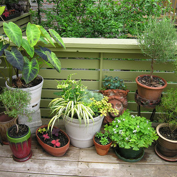 Container plantings and Edible container plantings | Artistry Landscaping Design