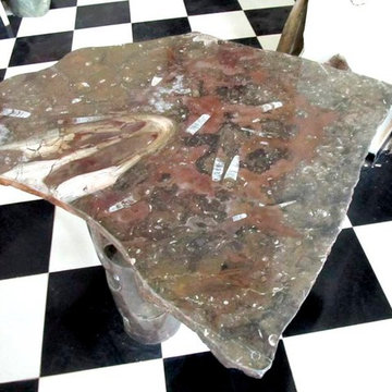 Fossil Marble Table Tops