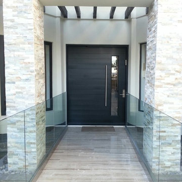 Katti Pivot Door Design / Painted