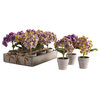 Set 12 Mini Hydrangea Faux Floral Plants in Pots Rustic Gift Purple Flowers