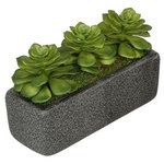 House of Silk Flowers, Inc. - Artificial Green Echeveria Garden in Black Sandy-Texture Rectangle - You will never have to worry about caring for your succulents again with this artificial echeveria garden handcrafted by House of Silk Flowers. This arrangement features a grouping of artificial echeveria "potted" in a sandy-texture ceramic vase measuring 11" wide x 4" deep x 4.25" tall. The echeveria have been arranged for 360*-viewing. The overall dimensions are measured leaf tip to leaf tip, from the bottom of the planter to the tallest leaf tip: 11" wide X 4" deep X 7" tall. Measurements are approximate, and will be determined by your final shaping of the plant upon unpacking it. No arranging is necessary, only minor shaping, with the way in which we package and ship our products. This product is only recommended for indoor use.