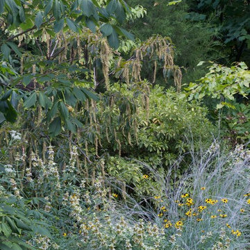 Grant Park Woodland Opening