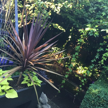 Dunbar English Garden