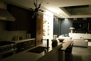 Living room - modern living room idea in Los Angeles