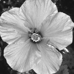 Professional Photography Portfolio - Photographs