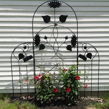 Rock Rich- Sunflowers trellis with Mandevilla vine