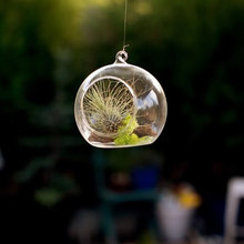 jillian_hampton's ideas