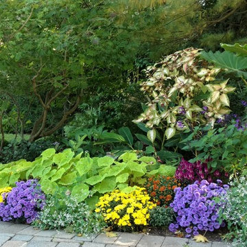 Garden Vistas