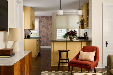 Transitional home design photo in Chicago