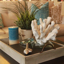 beach decor