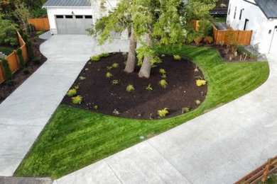 Photo of a landscaping in Seattle.