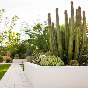 Residential Contemporary - Paradise Valley - 2013