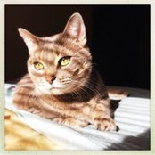 KT's photo