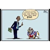 Stevros Stevo's photo