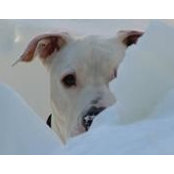 Janet Easterwood's photo