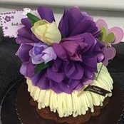 Lissa Romine's photo