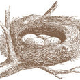 Burrow & Nest's profile photo