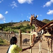 Roshini Epasinghe's photo