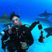 Tony Timpano's photo