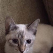 Beverly Burton's photo