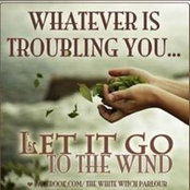 Shannon Lyness's photo