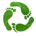 Green Feet Decorators's profile photo
