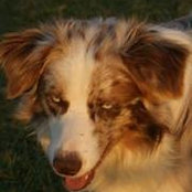 Tammy Starling's photo