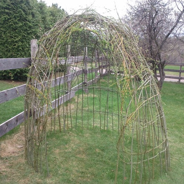 Living Willow hut