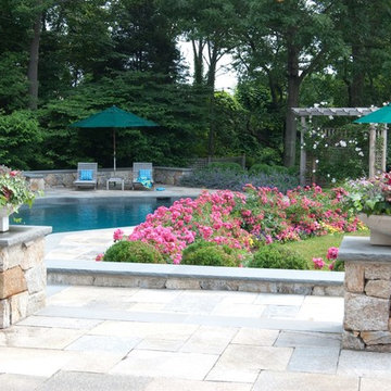 Plantings to soften the landscape