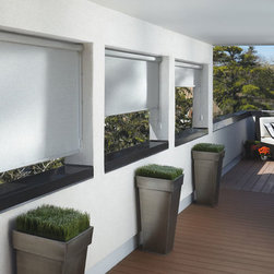 Hunter Douglas Designer Screen Shades - Window Blinds