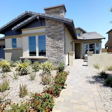 Evolve at Cantilena | Peoria, AZ | 5581 - Flourish Plan
