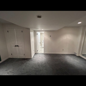 Dianne & Steven's Basement Bathroom (From Scratch)