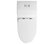 Dual-Flush Elongated 1-Piece Toilet With Soft-Closing Seat