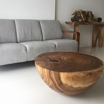 Raintree Wood Half Ball Coffee Table