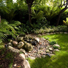 Garden  Ideas