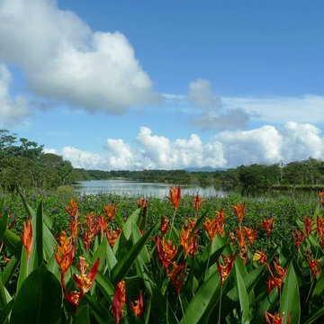 The Tropical Maze