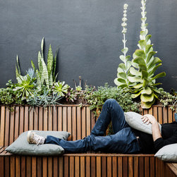 Furniture | Scatter Cushions - Outdoor Cushions And Pillows