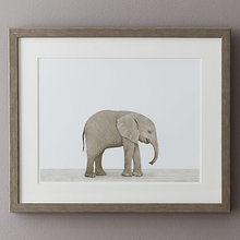 Absolutely gorgeous elephant frame
