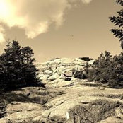 Melissa Forcier's photo