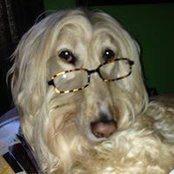 Anne Cefalu-Sanchez's photo