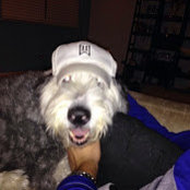 Holly Bieschke's photo