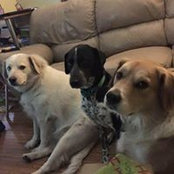 Mike Travers's photo