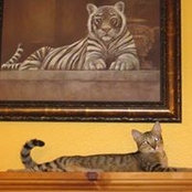 Kandy Gordecki's photo