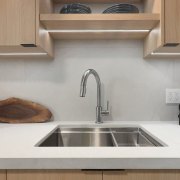 Condo Renovation in Toronto