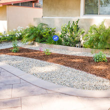 Backyard Ideas