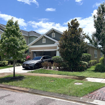 HOA Approved Tree Installation