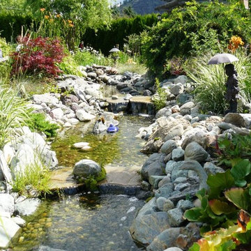 Water Features & Ponds