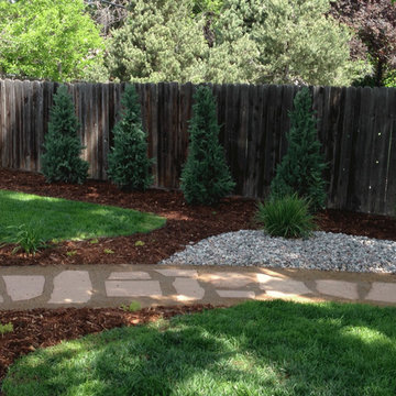 Dog-friendly Backyard Patio